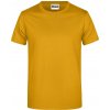 Pánské Tričko James Nicholson pánské tričko Basic 150 žlutá