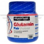 Survival Glutamin fair power 500 g – Hledejceny.cz