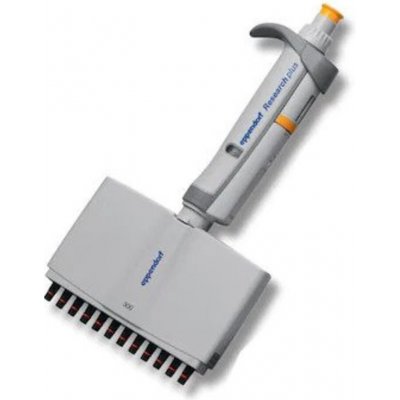 Laboratorní pipeta Eppendorf Research Plus 12-kanálová 30 - 300 µl – Hledejceny.cz