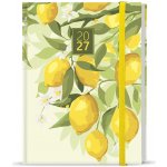Adam Lamino B6 Denní 2027 Citron – Hledejceny.cz