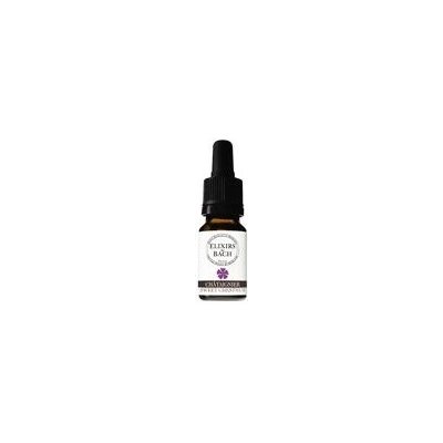 Bachovy květové Bio esence Kaštanovník jedlý Sweet Chestnut 10 ml – Hledejceny.cz
