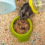 Ferplast Paula 46 x 29,5 x 24,5 cm – Zboží Dáma