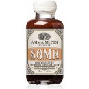 Anima Mundi Soma Elixir 7 hub + Schisandra 118 ml