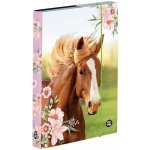 Karton P+P A4 Kůň Koně 3-74123 – Zboží Mobilmania