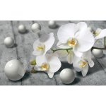 ForWall 3D Fototapeta Orchidej vlies 104 x 70,5 cm – Zboží Mobilmania