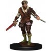 Příslušenství ke společenským hrám WizKids D&D Icons of the Realms: Premium Painted Figure Human Rogue Male