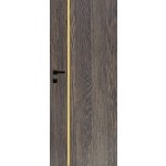 Vasco Doors Rego Bezfalcové grafit 80 x 197 cm Pravé VD-REG32960 – Zbozi.Blesk.cz