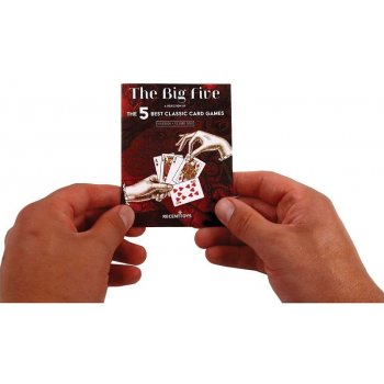 RecentToys The Big Five Cards