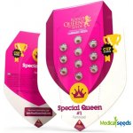 Royal Queen Seeds Special Queen #1 semena neobsahují THC 3 ks – Hledejceny.cz