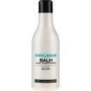 Stapiz Basic Salon Aloe Conditioner Balm 1000 ml