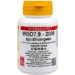 Sinecura WBO7.9 qiju dihuangwan 60 tablet – Hledejceny.cz