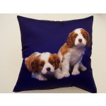 Dadka polštář Dva béžovohnědí psi 40x40 – Zbozi.Blesk.cz