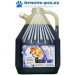 Orling GelaPony Arthro Biosol 3 l – Hledejceny.cz