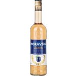 R. Jelínek Moravská Zlatá Švestka 38% 0,5 l (holá láhev) – Zboží Dáma