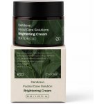 Dendrexo Facial Care Solution - Anti-aging rozjasňující krém s rostlinnými exosomy 50 ml – Hledejceny.cz