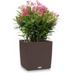 Lechuza Cube Cottage 50 cm mokka – Hledejceny.cz