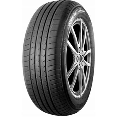 Autogreen Smart Chaser SC1 195/65 R15 91V – Hledejceny.cz