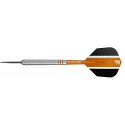 Target steel 23g Raymond van Barneveld 80% wolfram RVB