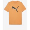 Pánské Tričko Puma pánské tričko Desert Road Graphic Tee Oranžové