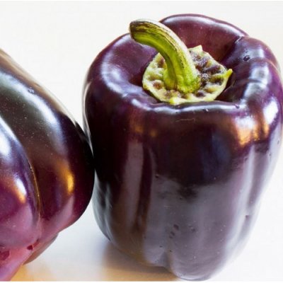 Paprika Zulu Capsicum annuum semena papriky 10 ks – HobbyKompas.cz