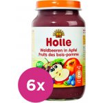 Holle Bio Lesní plody v jablku 6 x 220 g – Zboží Mobilmania