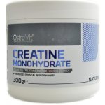 OstroVit Creatine Monohydrate, 300 g – Zboží Mobilmania