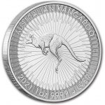 Perth Mint KANGAROO 1 oz – Hledejceny.cz