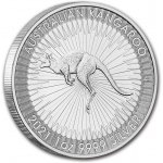 Perth Mint KANGAROO 1 oz – Zboží Dáma