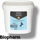 Fitmin BIOTIN 3 kg