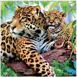 Ubrousek 33x33cm Rodinka – Zboží Dáma