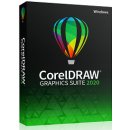 CorelDRAW Graphics Suite SU 365-Day Subs. LCCDGSSUB11