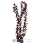 Hobby Eusteralis 39 cm umělá – Sleviste.cz