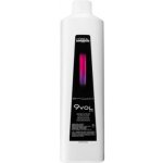 L'Oréal Diactivateur vyvíječ k přelivům Richesse 2,7% 1000 ml – Hledejceny.cz