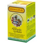 Siddhalepa Ajurvédský balzám 25 g – Zbozi.Blesk.cz