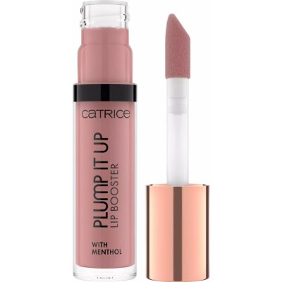 Catrice Plump It Up lesk na rty 040 Prove Me Wrong 3,5 ml – Zboží Mobilmania