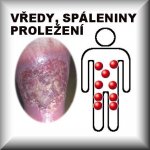 Jukl liliová mast 50 ml – Hledejceny.cz