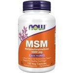 Now Foods MSM Methylsulfonylmethan 1000 mg 120 kapslí – Hledejceny.cz