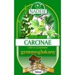 Naděje Mgr. Jarmila Podhorná Naděje Podhorá Carcinae + betaglukan 50 ml – Hledejceny.cz