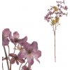 Květina Tungovník, fialová barva KUL006 PUR