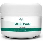 Karel Hadek Molusan balzám na molusky 100 ml – Zbozi.Blesk.cz