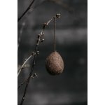 Velikonoční vajíčko Ullas Brown 5 cm Storefactory Scandinavia – Hledejceny.cz