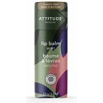 Bio Spectra přírodní balzám na rty attitude leaves bar s vůní máty 8,5 g – Zboží Dáma