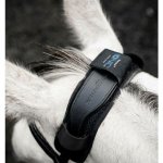 HORSEWAR Terapeutický obal na nátylník E Ionic Poll Cover černá – Hledejceny.cz