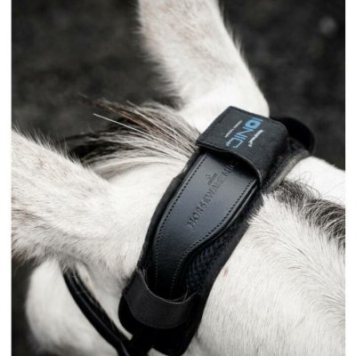 HORSEWAR Terapeutický obal na nátylník E Ionic Poll Cover černá – Hledejceny.cz