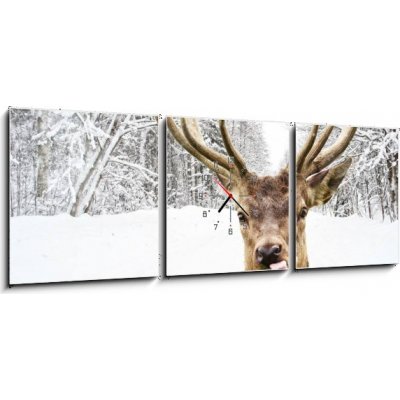 Obraz s hodinami 3D třídílný - 150 x 50 cm - Deer with beautiful big horns on a winter country road Jelen s krásnými velkými rohy na zimní venkovské cestě