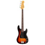 Fender American Professional Precision Bass RW – Hledejceny.cz