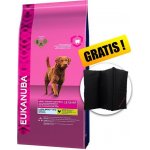 Eukanuba Adult Large Breed Weight Control 15 kg – Hledejceny.cz