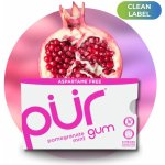 Pür žvýkačky s xylitolem Pomegranate mint 9 ks – Hledejceny.cz