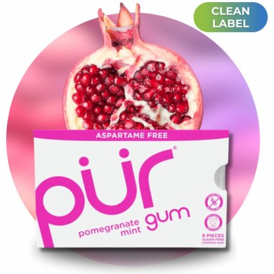 Pür žvýkačky s xylitolem Pomegranate mint 9 ks – Hledejceny.cz
