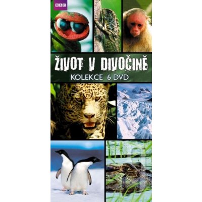 Život v divočině DVD – Zboží Mobilmania